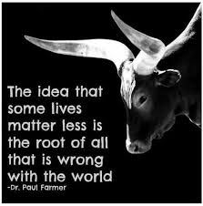 vegan quotes - Google Search Humour, Wise Words, Animal Activism, Vegan Quotes, Vegan Life, Animal Rights, Animal Quotes, Amazing Quotes, Going Vegan