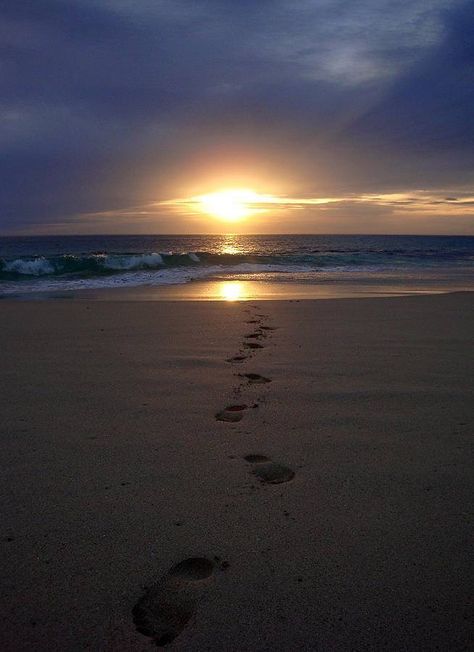 Footprints in the Sand. Nature, Live A Quiet Life, A Quiet Life, Character Inspiration Male, Beach Night, Lead By Example, Minding Your Own Business, Quiet Life, Your Own Business