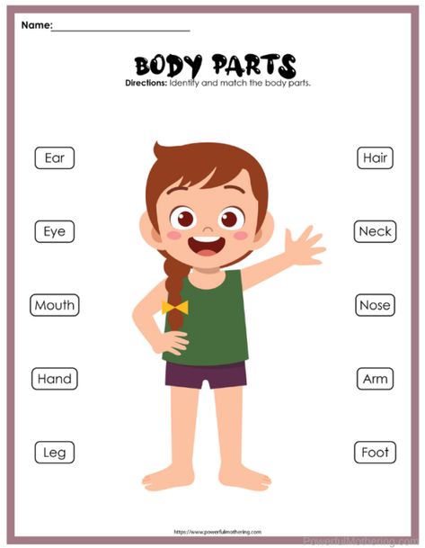 Parts Of The Body Printable Pack My Body Printable, Part Of The Body Activities, Parts Of The Body Activities Preschool, Part Of The Body For Kids, My Body Activities For Kids, Part Of Body For Kids, Body Parts For Kids Activities, Parts Of The Body Worksheets Preschool, Parts Of Body Activities For Preschool