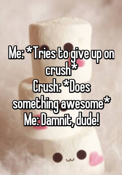 "Me: *Tries to give up on crush* Crush: *Does something awesome* Me: Damnit, dude!" Humour, Crush Problems, Crush Quotes Funny, Memes Crush, Funny Crush Memes, Crush Posts, Crush Crush, Crush Facts, Secret Crush Quotes