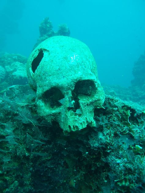 Chuuk Lagoon, also known as Truk Lagoon, is a sheltered body of water in the central Pacific. Description from articleactive.com. I searched for this on bing.com/images Tela, Underwater Skeleton, Skeleton Underwater, Creepy Underwater, Skull Underwater, Lagoon Photography, Chuuk Lagoon, Marine Archaeology, Ocean Ecosystem