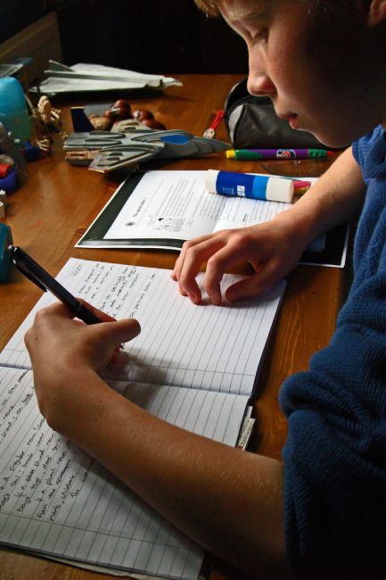 How to Set Up a Successful Homework Routine with Your Kids Organisation, Class Helpers, Helping With Homework, Homework Routine, Raising Butterflies, Family Organization, Homework Organization, Executive Functioning Skills, Kids Homework