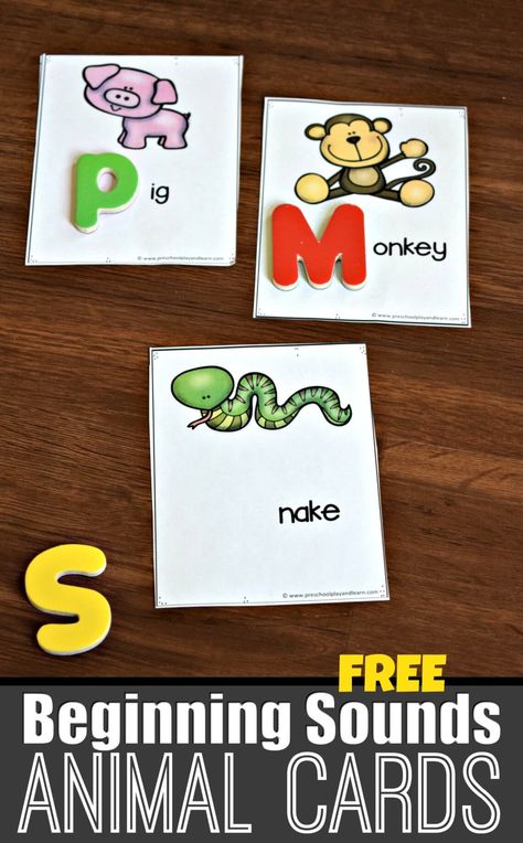 FREE Beginning Sounds Animal Cards - super cute phonics activity for preschool and kindergarten age kids #phonics #alphabet #preschool Preschool Alphabet Matching Printables, Beginning Sound Picture Cards, Preschool Alliteration Activities, Phonic Activities Preschool, Phonics Activities Preschool, Preschool Literacy Activities, Phonics Preschool, Alphabet Sound, Kids Phonics