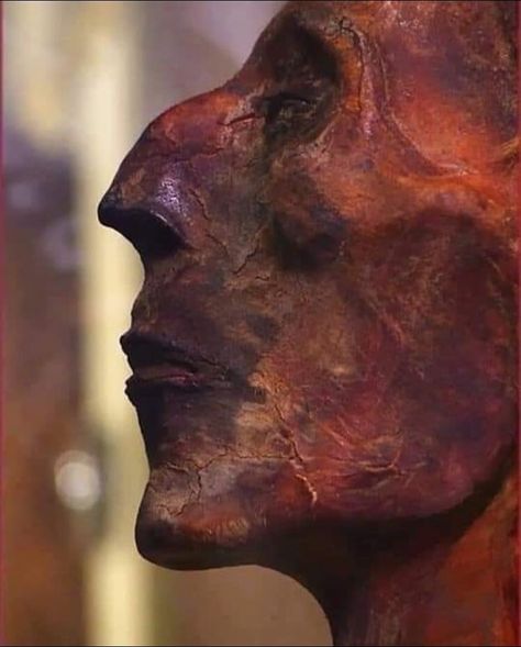 Valley of the Pharaohs on Instagram: “Ancient Plastic Surgery.  The ancient Egyptians believed that the face was the only physical thing that carried over into the afterlife.…” Egyptian Empire, House Temple, Ramesses Ii, Egypt Mummy, Ancient Egyptian Tombs, Starověký Egypt, Pyramids Egypt, Egyptian Museum, Egyptian Mummies