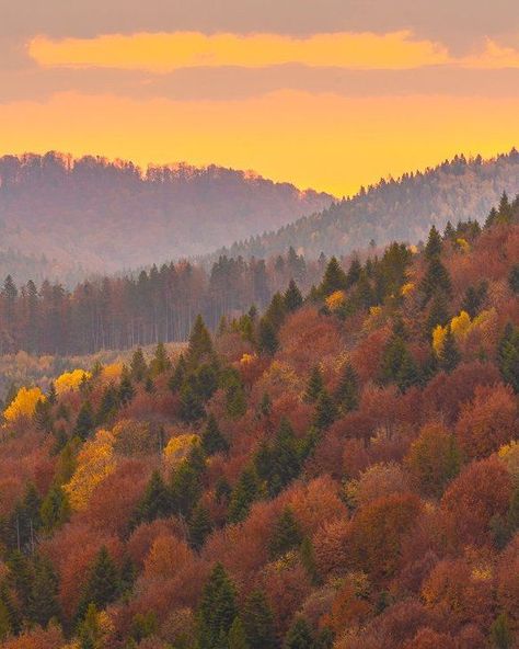 Fall Trees Mountains, Nature, Fall In Appalachia, Fall Aesthetic Mountains, Fall In Mountains, Mountain Autumn Aesthetic, Autumn In The Mountains, Fall Foliage Aesthetic, Autumn Mountain Aesthetic
