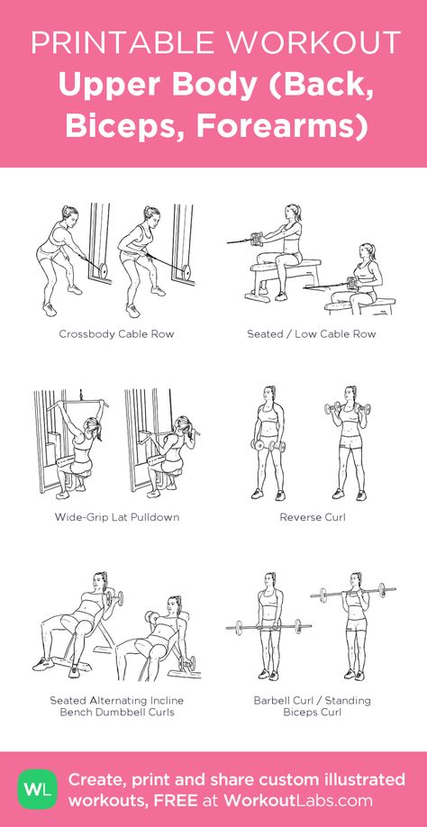 Upper Body (Back, Biceps, Forearms): my visual workout created at WorkoutLabs.com • Click through to customize and download as a FREE PDF! #customworkout Back Biceps Forearms Workout, Back And Bicep Workout Gym Machines, Cable Machine Upper Body Workout, Forearm Workout Women, Back And Biceps Workout, Bodyweight Upper Body Workout, Back And Bis, Back And Bicep Workout, Workout Labs