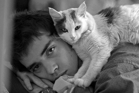 kitty love Men With Cats, Creepy Gif, Lana Del Rey Art, Kitty Love, Cat Artwork, Human Poses Reference, Human Poses, Cat People, All About Cats