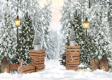 Christmas Studio Background, Christmas Digital Backgrounds, Red Christmas Flowers, Christmas Photo Background, Christmas Background Photography, Winter Backdrop, Holiday Backdrop, Photo Backdrop Christmas, Winter Wonderland Decorations