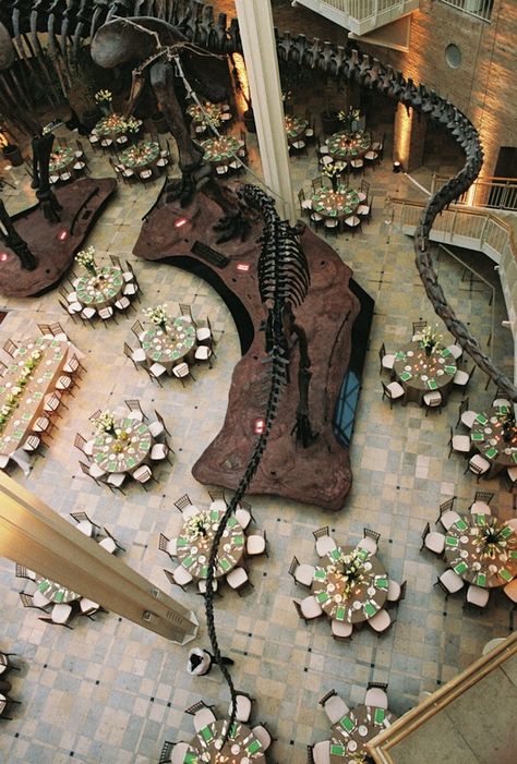 Dinosaur Wedding Theme, Jurassic Wedding, Reception Brides, Natural History Museum Wedding, Museum Wedding Venues, Dinosaur Wedding, Aquarium Wedding, Florida Wedding Venues, Brides And Grooms