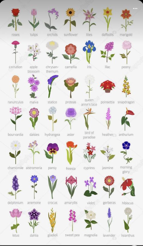 Pretty Flower Names, Flower Chart, Gubahan Bunga, نباتات منزلية, List Of Flowers, Most Popular Flowers, Seni 2d, Flower Guide, Popular Flowers