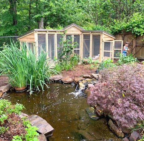 Small Duck Pond Ideas Diy, Duck Ponds Backyard Diy, Easy Duck Coop, Duck Coop Ideas, Duck Run, Duck Enclosure, Coop And Run, Duck Pens, Backyard Chicken Coop