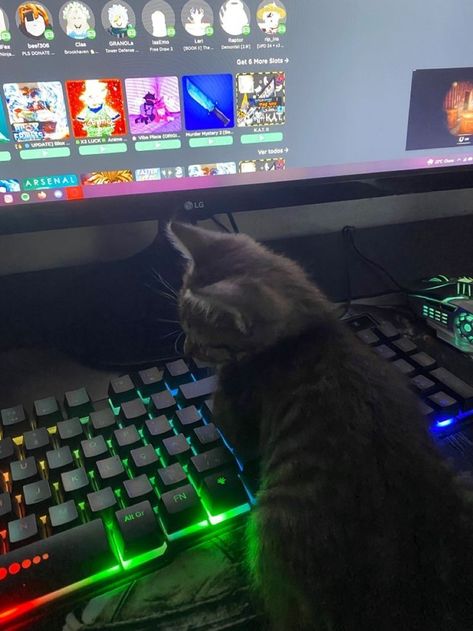 Cat and meow gaming Minas Gerais, No Profile Picture Aesthetic, Gamer Cat, Gamer Boyfriend, Boyfriend Pranks Pictures, Gamer Setup, People Come And Go, Emo Wallpaper, Mood Images