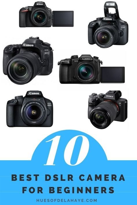 Dslr For Beginners, Best Dslr Camera Photography, Best Beginner Photography Cameras, Best Dslr Camera For Beginners, Cannon Camera For Beginners, Best Beginner Camera, Best Starter Camera For Photography, Starter Camera For Photography, Best Cameras For Photography Beginners