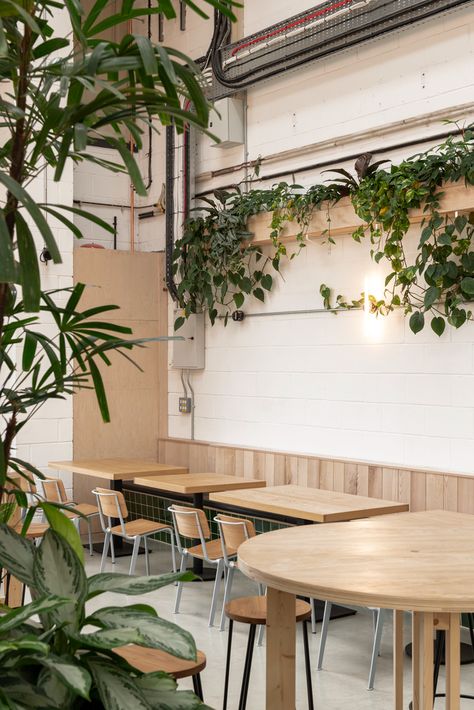 Green Cafe Aesthetic, Shop Bar Ideas, Tropical Cafe, Cafe Plants, Cafe Aesthetics, Green Restaurant, Greens Restaurant, Painted Brick Walls, Green Cafe