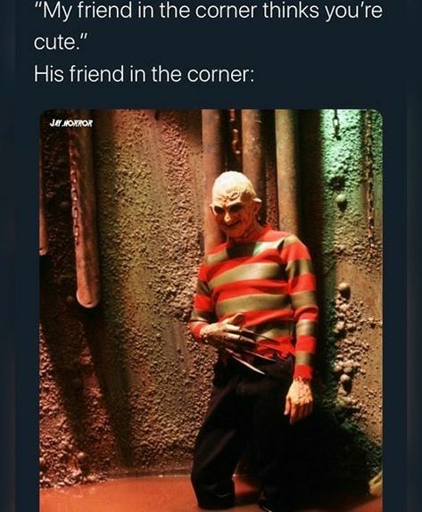 Humour, Funny Horror Movies Memes, Funny Scary Horror Memes, 80s Horror Movie Memes, Funny Horror Memes Hilarious, Freddy Krueger Meme, Horror Movie Meme, Freddy Krueger Funny, Slashers X Y/n