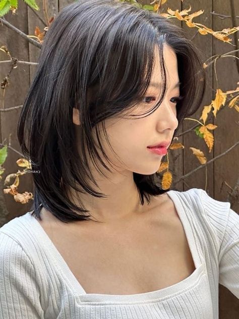 Short Black Hair, Layered Haircuts For Medium Hair, Korean Short Hair, Hair Inspiration Short, Asian Short Hair, Short Hair Syles, Shoulder Length Hair Cuts, Haircuts For Medium Hair, Shot Hair Styles