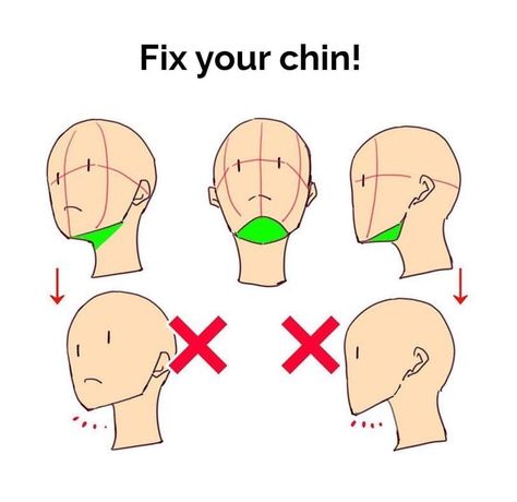 Human Anatomy Reference, Human Base, Artist Problems, Drawing Heads, Art Advice, Art Hub, Anatomy For Artists, Chin Up, Figure Drawing Reference