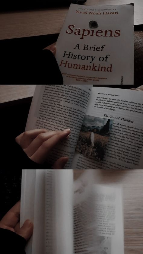 A Brief History of Humankind A Brief History Of Humankind, Sapiens: A Brief History Of Humankind, Sapiens Book Aesthetic, Sapiens Book, Brief History Of Humankind, History Of Time, Yuval Noah Harari, Book Aesthetic, Book Club