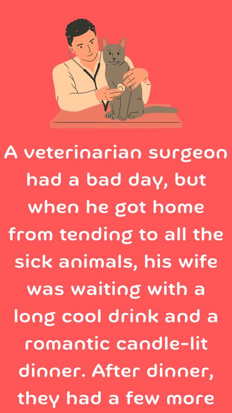 A veterinarian surgeon had a bad day, but when he got home from tending to all the sick animals, his wife was waiting with a long cool drink and a romantic candle-lit dinner... Had A Bad Day, Romantic Candlelight, Romantic Candles, Candle Light Dinner, Having A Bad Day, Bad Day, Veterinarian, Fun Drinks, A Romantic