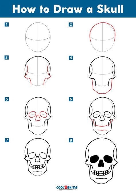 How to Draw a Skull | Cool2bKids East Skull Drawings, How To Draw A Human Skull, Anime Skull Drawing, Drawing A Skull Step By Step, Skull Sketch Tutorial, How To Draw A Skeleton Easy, Draw Skull Easy, How To Sketch A Skull, Skull Sketch Simple How To Draw
