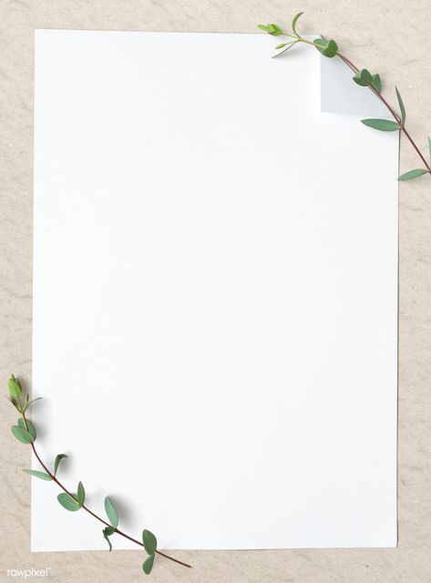 Blank plain white paper template | premium image by rawpixel.com / KUTTHALEEYO White Background Plain, White Paper Template, Paper Background Design, Snapchat Stickers, Instagram Photo Frame, Powerpoint Background Design, Instagram Background, Plains Background, Instagram Frame Template