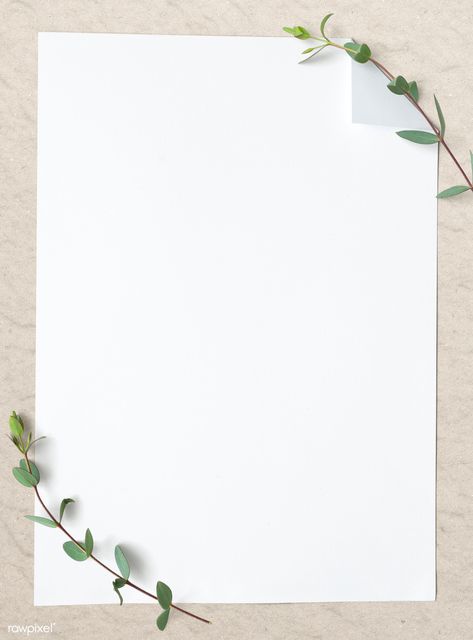 Blank plain white paper template | premium image by rawpixel.com / KUTTHALEEYO White Background Plain, White Paper Template, Blank Background, Paper Background Design, Snapchat Stickers, Instagram Photo Frame, Powerpoint Background Design, Plains Background, Instagram Background