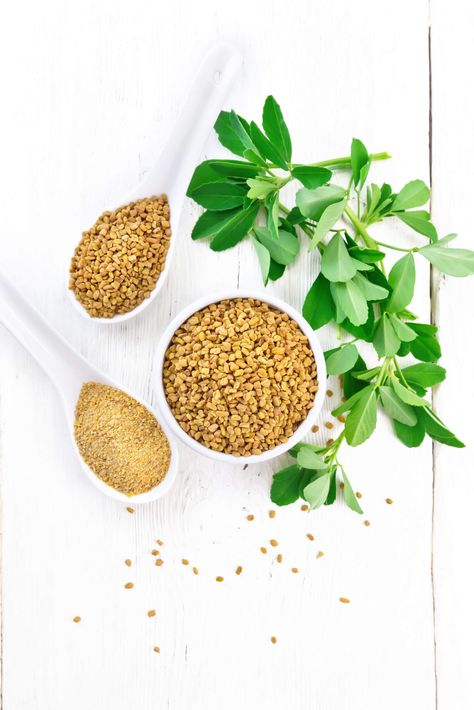 10 Best Fenugreek Substitutes in Cooking - Leaves, Seeds, and Ground Fenugreek Tea, Fenugreek Benefits, Ayurveda Recipes, Yellow Mustard Seeds, Health Fitness Food, Alfalfa Sprouts, Masala Curry, Sea Vegetables, Fenugreek Leaves