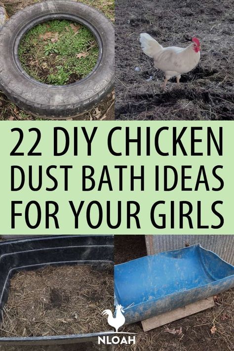 Chicken dust baths are essential to your flocks' health. We have over 20 ideas on how to make one that is dirt-cheap. #chickens #poultry #livestock #homesteading How To Make Dust Bath For Chickens, Dust Baths For Chickens Ideas, Best Dust Bath For Chickens, Chicken Run Playground Ideas, How To Make A Dust Bath For Chickens, Diy Chicken Bath, Dirt Bath For Chickens, Chicken Dust Bath Containers, Chicken Toys Diy