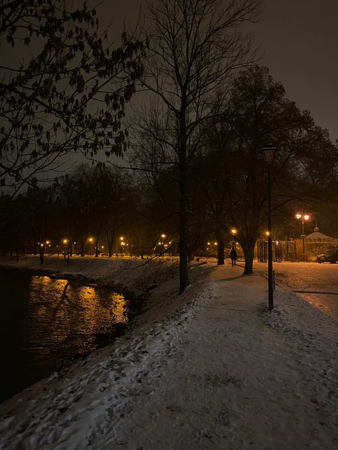 Water, Christmas, Trees, Walking, Winter Aesthetic, At Night