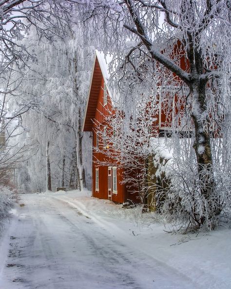 🇳🇴 Hoar frost on the road to the lake (Hadeland, Norway) by Harald Gjerholm ❄️cr. Lillehammer, Winter Szenen, Winter Love, Winter Magic, Winter Scenery, Snow Scenes, Winter Beauty, Winter Wonder, Winter Pictures