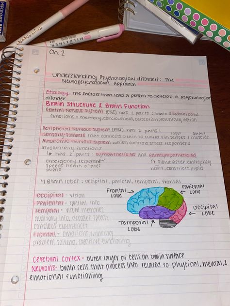 Psychology Concept Map, Ba Psychology Notes, Psychology Notes University, Cute Psychology Notes, College Psychology Aesthetic, Abnormal Psych Notes, Biological Approach Psychology Notes, Phycology Notes Aesthetic, Social Work Notes Student