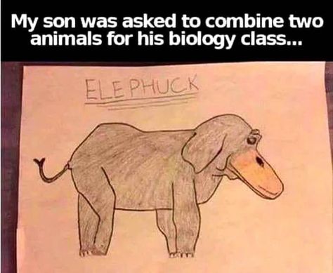 Elephuck! Humour, Funny Kid Memes, Funny Pictures For Kids, Kids Laughing, Dump A Day, Kid Memes, صور مضحكة, Funny Happy, Komik Internet Fenomenleri