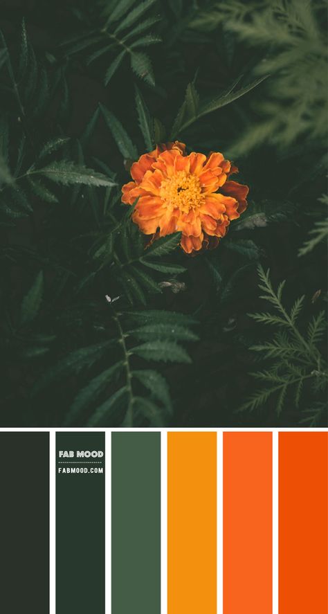 Color inspiration images Archives 1 - Fab Mood | Wedding Colours, Wedding Themes, Wedding colour palettes Emerald Brown Color Palette, Emerald Green Copper Color Palette, Emerald Green Orange Color Palette, Sage Green Burnt Orange Color Palette, Burnt Orange And Green Bedroom, Warm Green Color Palette, Orange And Green Bedroom, Green And Orange Bedroom, Orange And Green Color Palette