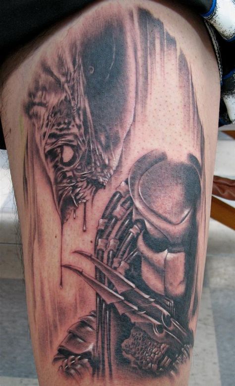 Avp Tattoo, Alien Vs Predator Tattoo, Tattoo Alien, Rj Palmer, Predator Tattoo, Wing Tattoo Men, Husband Tattoo, Predator Alien Art, Tattoos Pictures