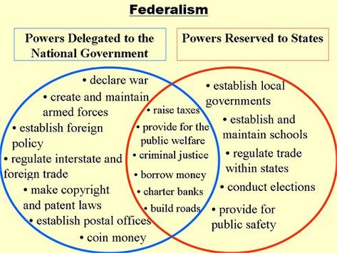 Teaching Social Studies, Federal, Flipped Classroom, Government Lessons, Teaching Government, Ap Government, Social Studies Education, Branches Of Government, American Government