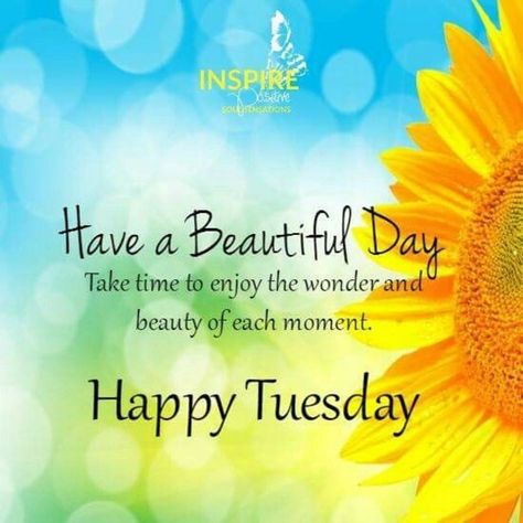 Thoughtful Tuesday, Good Morning Tuesday Wishes, Happy Tuesday Pictures, Happy Tuesday Images, Good Morning Tuesday Images, Happy Tuesday Morning, Tuesday Quotes Good Morning, Tuesday Images, Tuesday Greetings