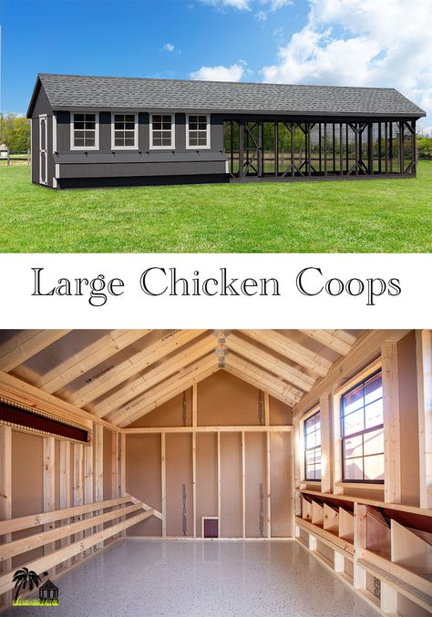 Huge Chicken Coop, Giant Chicken Coop, Moveable Chicken Coop, Large Chicken Run, Large Chicken Coop Plans, Chicken Coop Building Plans, Chicken Coop Large, Large Chicken Coop, Quail Coop