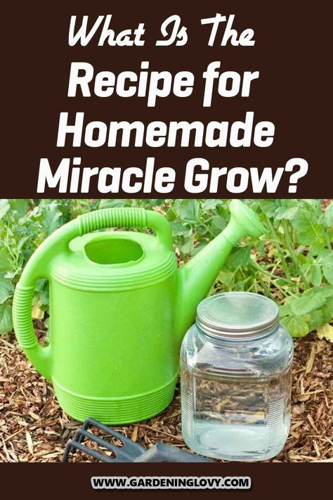 Homemade Miracle Grow is a wonderful fertilizer that uses organic ingredients, making it great for the growth of plants. Read here to find out the recipe for homemade miracle grow. Make Your Own Miracle Grow, Diy Vegetable Fertilizer, Make Fertilizer For Plants, Miracle Grow Plant Food, Tomato Plant Fertilizer Diy, Make Plant Fertilizer, Diy Miracle Grow Recipe For Vegetables, Indoor Plants Fertilizer, Homemade Houseplant Fertilizer