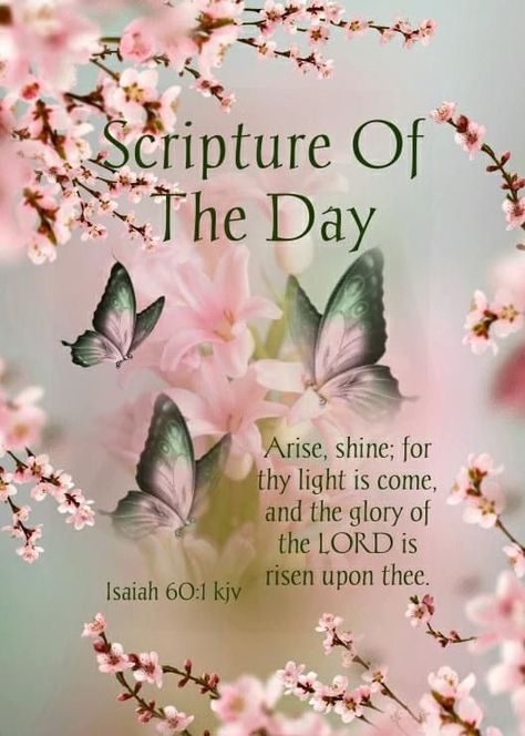 Scripture Of The Day Quotes, Daily Bible Verse Scriptures, Good Morning Positive Quotes, Morning Positive Quotes, Good Morning Positive, Morning Scripture, Daily Wishes, Quotes Morning, Bible Verses Kjv