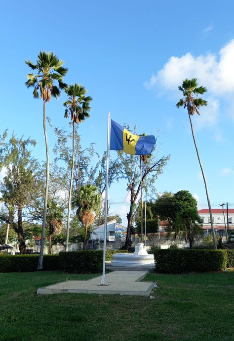 The Barbados flag flying proudly in Queen's Park in our capital city Bridgetown Bridgetown, Barbados Aesthetic, Barbados Bridgetown, Island Gyal, Barbados Flag, Barbados Vacation, Bridgetown Barbados, Vision Board Pictures, Money Pictures