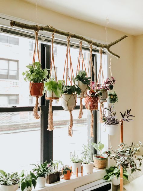 DIY, home decor, wooden plant hanger, plant decor, macrame plant hanger, diy furniture, indoor jungle, Window Plants Hanging, Wooden Ladder Plant Hanger, Shower Curtain Rod Plant Hanger, Plant Hanger Indoor, Crooked Wall Ideas, Over The Window Plant Hanger, Plant Areas Indoor, Stick Plant Hanger, Macrame Curtain Plant Hanger