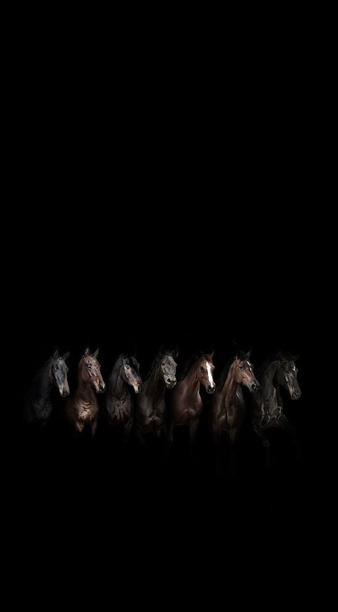 Black Horse Wallpaper Iphone, Wallpaper Horse Aesthetic, Wallpaper Horse, Aesthetic Horse, Amoled Wallpaper, Horse Background, Horse Running, Beautiful Horses Photography, Running Horse