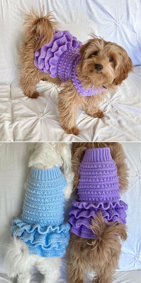 Crochet Dog Sweater Pattern Free, Crochet Dog Hat Free Pattern Small, Crochet Pet Collar Free Pattern, Cute Crochet Decor, Crochet For Dogs, Dog Jumper Pattern, Crochet Dog Sweater Free Pattern, Crochet Dog Hat, Kat Haken