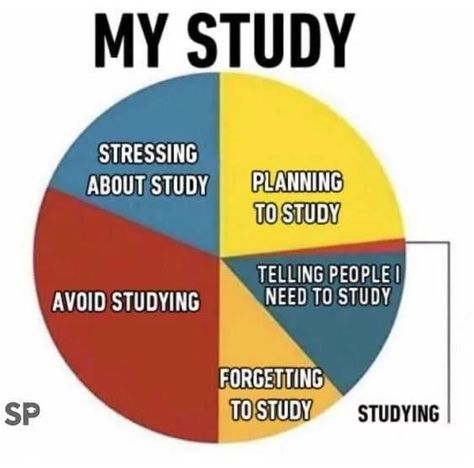 Humour, High School Memes, Studying Funny, Studying Memes, College Memes, Nursing School Humor, Student Memes, Study Break, Student Humor