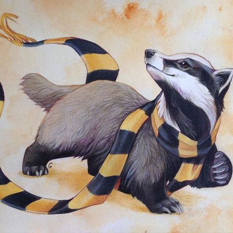 Coloured pencil drawing over watercolour #hufflepuff #harrypotter #hogwarts #badger Fanart Harry Potter, Tapeta Harry Potter, Hufflepuff Aesthetic, Hufflepuff Pride, Desenhos Harry Potter, Theme Harry Potter, Images Harry Potter, Harry Potter Hufflepuff, Honey Badger