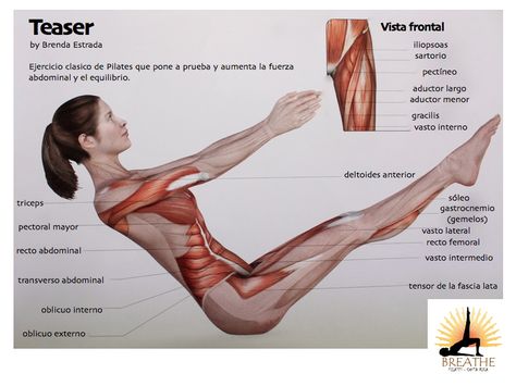 Amazing that one pose incorporates so many muscles...pilates teaser Pilates Teaser, Tia Chi, Plank Exercise, Pilates Quotes, Pilates Poses, Beginner Pilates Workout, Studio Pilates, Pilates Routine, Pilates Moves