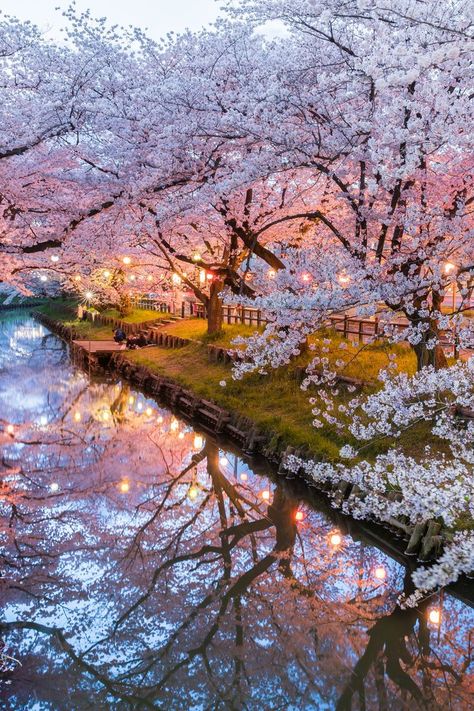 Where To See Cherry Blossoms In Japan & Where To Stay Cherry Blossom Japan, Tokyo Japan Travel, Whatsapp Wallpaper, Pretty Landscapes, Japan Aesthetic, Aesthetic Japan, Dream Travel Destinations, Beautiful Places To Travel, Beautiful Places To Visit