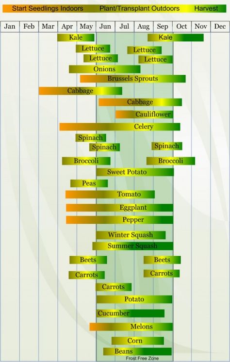 Your garden's success is, in large part, based on planting suitable crops for your climate. Here, we'll focus on Zone 5 plantings. Some major US cities that fall in USDA Zone 5 are Chicago, Illinois, Cleveland, Ohio, Detroit, Michigan, Minneapolis,... Family Garden, Vegetable Planting Calendar, Plantarea Legumelor, Seedlings Indoors, Indoor Vegetables, Planting Calendar, Indoor Vegetable Gardening, Food Production, Have Inspiration