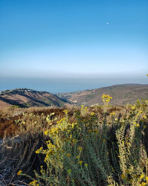 Hiking Routes to Top of the World Laguna Beach, California - That OC Girl Hiking Routes, Top Of The World Laguna Beach, California Hiking Aesthetic, Hiking In California, California Hikes, 2024 Mood, Oc Girl, Laguna Beach California, Hiking Aesthetic