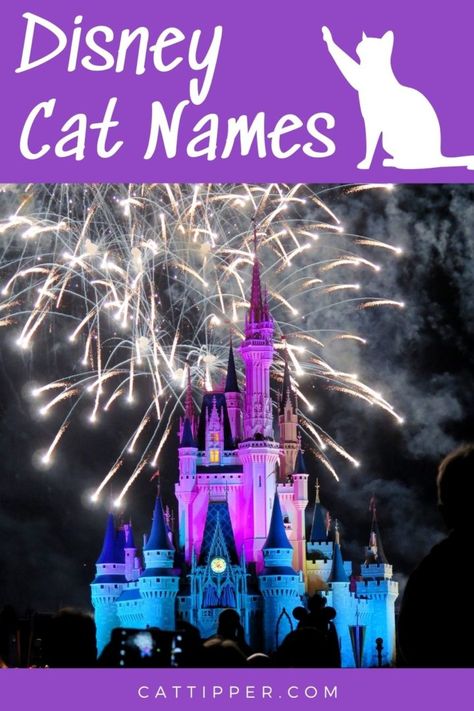 Disney Cat Names - CatTipper Cat Names Boy, Badass Cat Names, Disney Cat Names, Disney Pet Names, Halloween Names For Cats, Boy Cat Names, Girl Cat Names, Jungle Book Characters, Film Alice In Wonderland